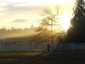 RSE Sunrise