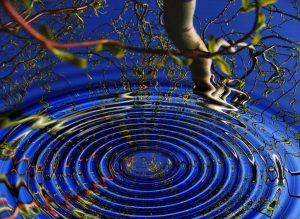 Online Psychic Readings A Few Things You Should Know Spiritual