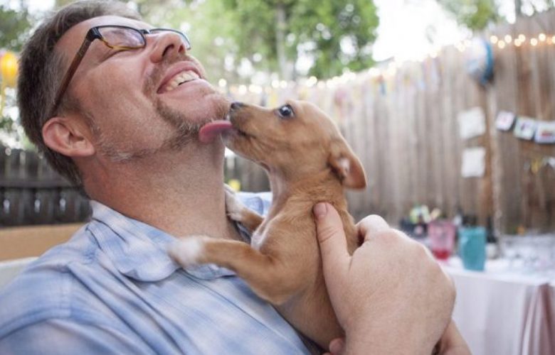 First Days with Your New Dog