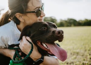 Unlocking Your Dog's Emotional World: Keys To Understanding 4