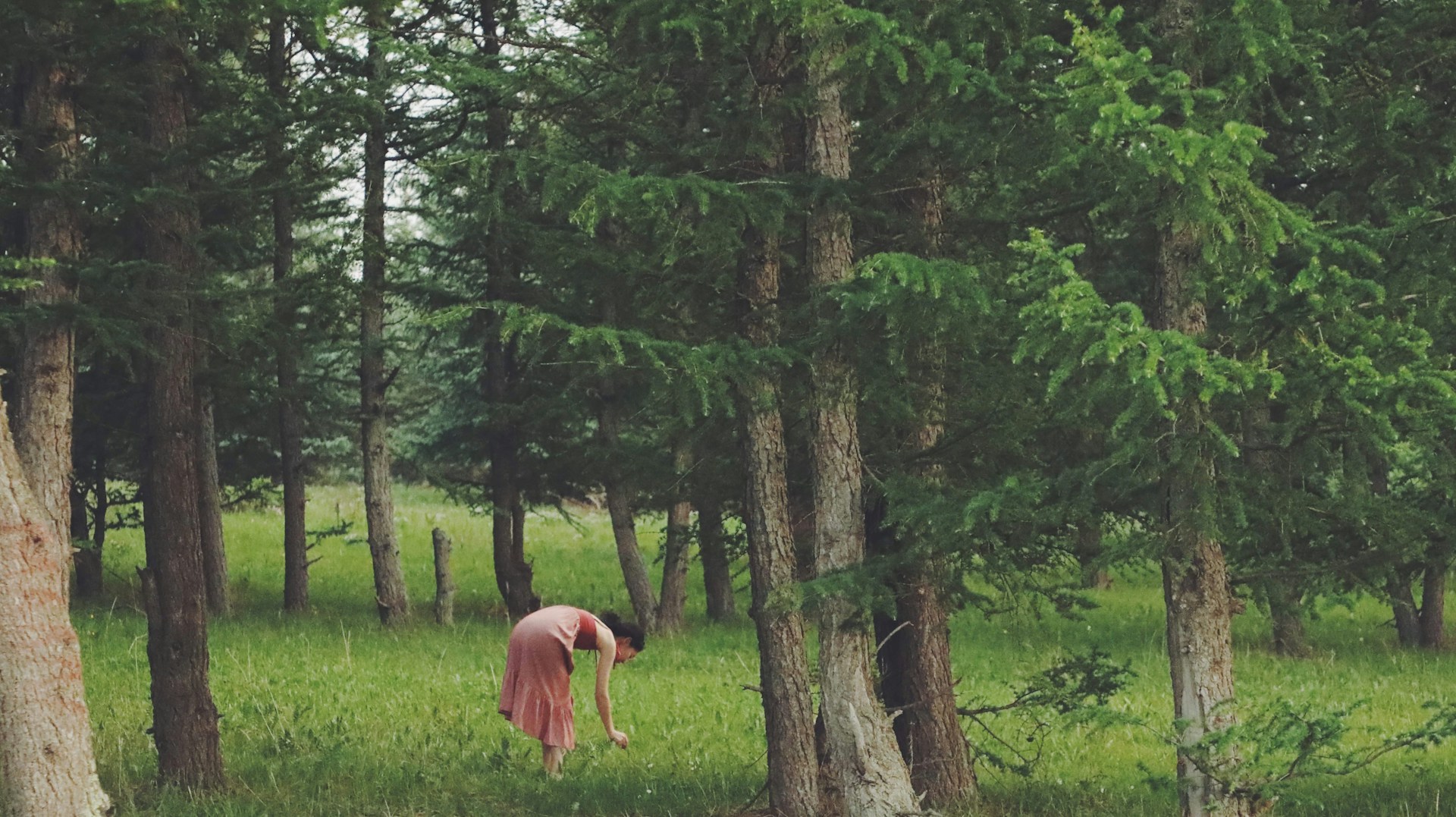 A Beginner's Guide to Forest Bathing